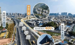 <b>按照项目发布的合规数</b>